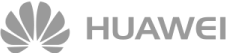 OE logo